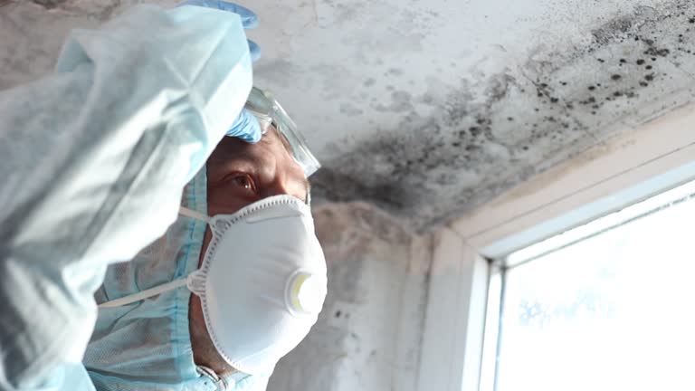 Best Mold Prevention Services  in Richland, PA